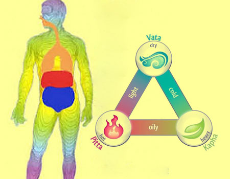 Vatta-Pitta-Kapha
